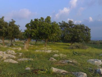 إلى أهل إربد .. ماذا تعرفون عن مندح