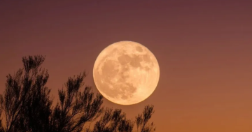 القمر العملاق يضيء سماء الأردن غدا في آخر ظهور فلكي مميز لعام 2025