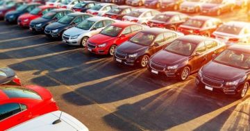 أبو ناصر: شلل وجمود غير مسبوق في المنطقة الحرة وقطاع المركبات يدخل نفقا مظلما عاجل