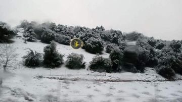 الأرصاد لـ رم : الأردنيون على موعد مع الثلوج .. ! الأرصاد لـ رم : الأردنيون على موعد مع الثلوج .. !