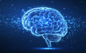 اكتشاف مثير عن سبب الموت المبكر للأطفال