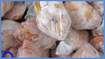 الزراعة تنفي وقف استيراد الدواجن المجمدة الزراعة تنفي وقف استيراد الدواجن المجمدة