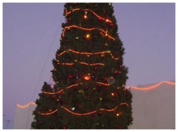 الكرك تحتفل بإضاءة شجرة الميلاد رسالة سلام ووئام الكرك تحتفل بإضاءة شجرة الميلاد رسالة سلام ووئام