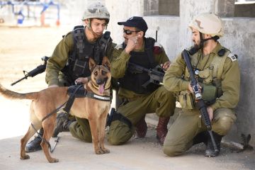 إعلام عبري: 27 جنديا أصيبوا بداء الكلب في قاعدة عسكرية شمال الضفة الغربية إعلام عبري: 27 جنديا أصيبوا بداء الكلب في قاعدة عسكرية شمال الضفة الغربية