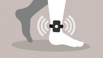 وزير العدل : حصر الاسوارة الالكترونية بالمحكوم عليه وزير العدل : حصر الاسوارة الالكترونية بالمحكوم عليه