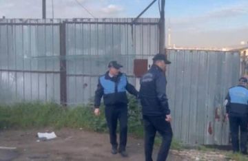 ضبط مسلخ غير قانوني لذبح الخيول والحمير في قلب إسطنبول