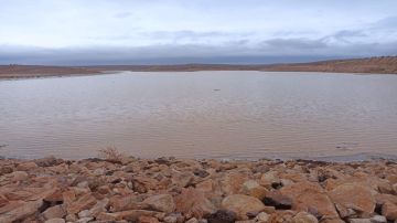 العبيات: سد الوحيدي عمل بكفاءة عالية عند فيضانه العبيات: سد الوحيدي عمل بكفاءة عالية عند فيضانه