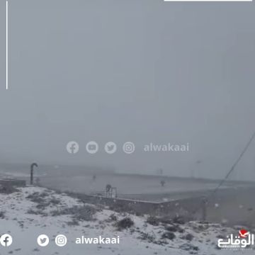 تجدد الهطولات الثلجية فوق مرتفعات الطفيلة والشوبك ومعان