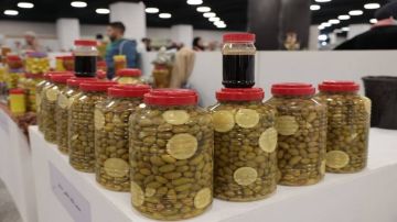 مهرجان الزيتون يقترب من الختام .. 284 ألف زائر و تنكة الزيت عند 120 دينارا مهرجان الزيتون يقترب من الختام .. 284 ألف زائر و تنكة الزيت عند 120 دينارا