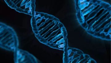 تحليل الحمض النووي يكشف كيف تغلب السل على العلاج منذ عصر الفراعنة تحليل الحمض النووي يكشف كيف تغلب السل على العلاج منذ عصر الفراعنة