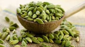 لمرضي الربو وللمناعة.. عليك بتناول كوب الشاي بالحبهان