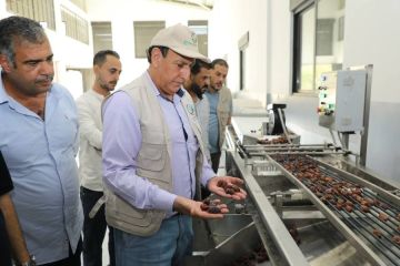 الرواشدة: المركز الوطني للبحوث الزراعية يعزز حضوره بإنجازات بحثية وتمويلية الرواشدة: المركز الوطني للبحوث الزراعية يعزز حضوره بإنجازات بحثية وتمويلية