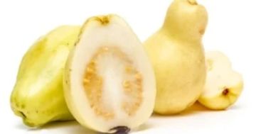 ماذا يحدث لجسمك عن تناول الجوافة يوميا؟