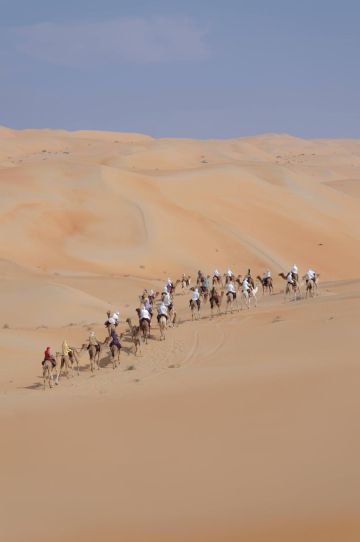 قافلة الهجن تعبر دروب الحجاج وتقترب من محطتها الختامية في دبي قافلة الهجن تعبر دروب الحجاج وتقترب من محطتها الختامية في دبي