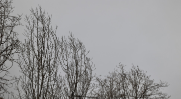 الأرصاد: اشتداد الهطل المطري في المناطق الشمالية والغربية