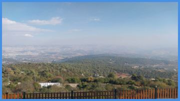 افتتاح مشروع تأهيل حديقة محمية الغزلان بلواء المعراض افتتاح مشروع تأهيل حديقة محمية الغزلان بلواء المعراض