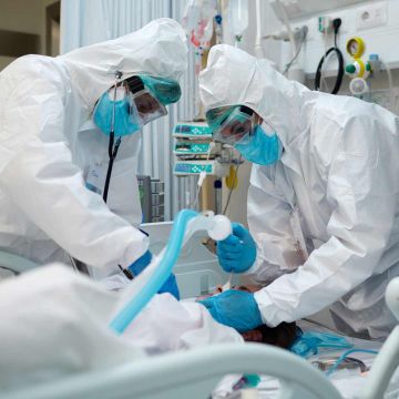 الصحة تحذر : فيروس H3N2 هو النمط السائد حاليا في الأردن الصحة تحذر : فيروس H3N2 هو النمط السائد حاليا في الأردن