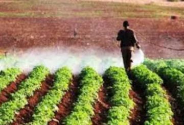 أمطار الكرك تعيد التفاؤل للمزارعين وتنعش المراعي وموسم الحبوب والحمضيات أمطار الكرك تعيد التفاؤل للمزارعين وتنعش المراعي وموسم الحبوب والحمضيات