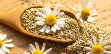 4 فوائد ذهبية لشاي البابونج.. لكن احذر من آثاره الجانبية! 4 فوائد ذهبية لشاي البابونج.. لكن احذر من آثاره الجانبية!