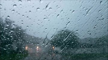 الأرصاد: المناطق الشمالية تسجل أعلى نسبة هطل مطري الأرصاد: المناطق الشمالية تسجل أعلى نسبة هطل مطري