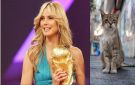 قرعة كأس العالم.. القطة تحولت إلى الفاتنة هايدي كلوم