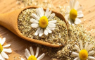 4 فوائد ذهبية لشاي البابونج.. لكن احذر من آثاره الجانبية!