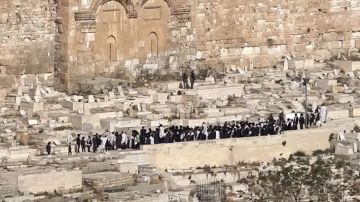 عكرمة صبري: اليمين المتطرف يلهو ويعربد كيفما شاء في رحاب المسجد الأقصى عاجل