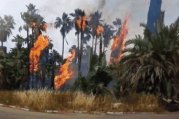 حرائق كبيرة وسط الاراضي المحتلة والسلطات تحاول إجلاء المئات