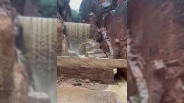 الأمن: نتعامل مع حادثتين لفقدان أشخاص في الحسا والبترا عاجل