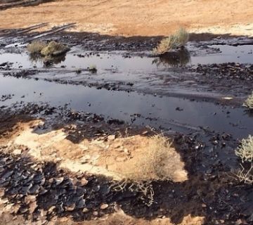 هل يصبح الأردن دولة منتجة للطاقة؟ خبير يجيب بالأرقام والمواقع عاجل