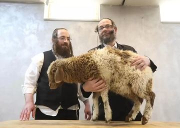 عن أسطورة القربان وخطرها على المسجد الأقصى عاجل