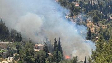 8 طائرات للإطفاء.. حريق هائل في غابات عين كارم بالقدس المحتلة عاجل 8 طائرات للإطفاء.. حريق هائل في غابات عين كارم بالقدس المحتلة عاجل