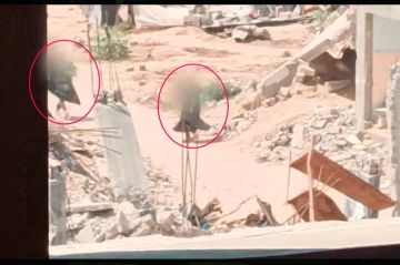 القسام تجمع معلومات استخباراتية دقيقة عن جيش الاحتلال عاجل