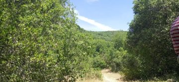 الأربعاء .. طقس صيفي اعتيادي