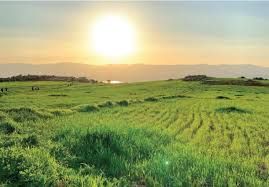 الاثنين .. طقس صيفي عادي في أغلب المناطق الاثنين .. طقس صيفي عادي في أغلب المناطق