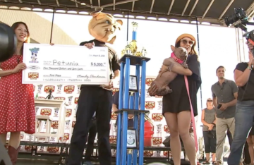 بتونيا تفوز بلقب أقبح كلب في العالم لعام 2025.. قبحها جذب القلوب! بتونيا تفوز بلقب أقبح كلب في العالم لعام 2025.. قبحها جذب القلوب!