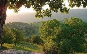 أجواء معتدلة نهارا ولطيفة ليلا في أغلب المناطق الخميس