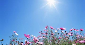 الأحد .. أجواء حارة نسبيا في أغلب المناطق