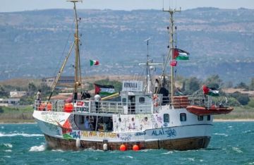 القوات الإسرائيلية تفرج عن ناشط تونسي اعتقلته على متن السفينة حنظلة (صور)