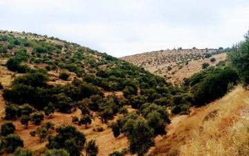 الاثنين .. انخفاض قليل على درجات الحرارة الاثنين .. انخفاض قليل على درجات الحرارة