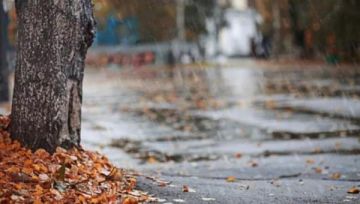 لا أمطار في الأيام المتبقية من أيلول لا أمطار في الأيام المتبقية من أيلول