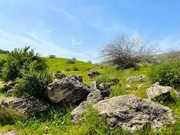 الخميس .. طقس معتدل الحرارة في أغلب المناطق