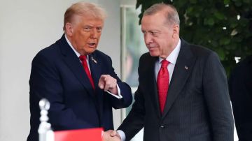  سنسهم في العملية .. أردوغان يشيد بجهود ترامب لإنهاء حرب غزة