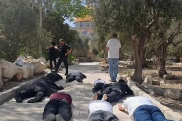 مئات المستوطنين يقتحمون الأقصى وساحة البراق ويؤدون طقوسا ورقصات تلمودية مئات المستوطنين يقتحمون الأقصى وساحة البراق ويؤدون طقوسا ورقصات تلمودية