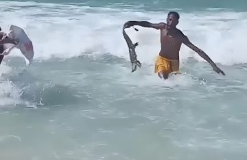 مصر.. تمساح يثير الرعب بين المصطافين على شاطئ الإسكندرية (فيديو)