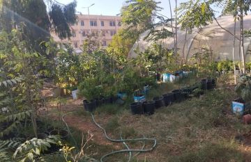 ضبط 3 اعتداءات على خطوط مياه رئيسية في عين الباشا