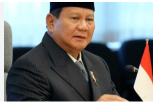 الرئيس الإندونيسي: سنعترف ب إسرائيل عندما تعترف باستقلال فلسطين الرئيس الإندونيسي: سنعترف ب إسرائيل عندما تعترف باستقلال فلسطين