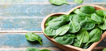 فوائد لا تحصى في أوراق السبانخ.. هذا ما كشفه العلماء