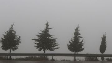 استقرار تدريجي للحالة الجوية مساء الجمعة وتحذيرات من تشكل الضباب استقرار تدريجي للحالة الجوية مساء الجمعة وتحذيرات من تشكل الضباب