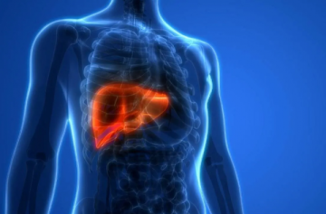 تركيبة علاجية مبتكرة لمكافحة تليف الكبد